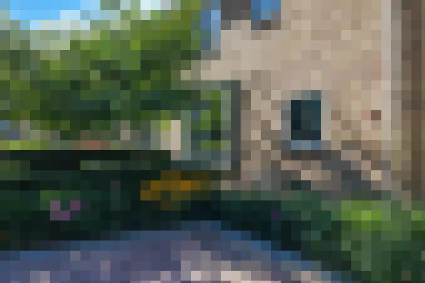 Steenbeekstraat 5 Zetten thumbnail 80
