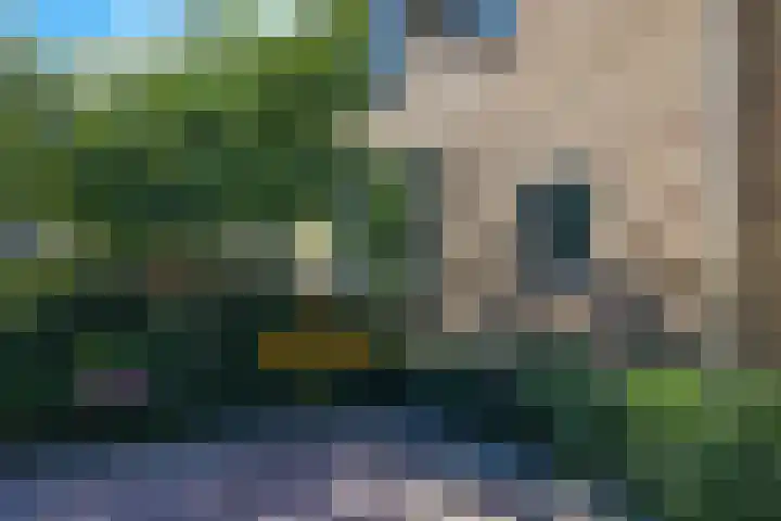 Steenbeekstraat 5 Zetten thumbnail 80