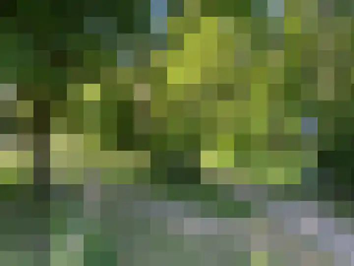 Steenbeekstraat 5 Zetten thumbnail 88