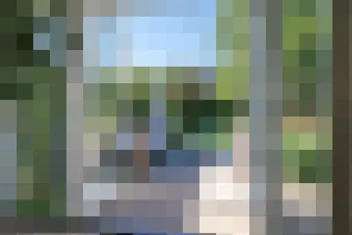 Steenbeekstraat 5 Zetten thumbnail 9