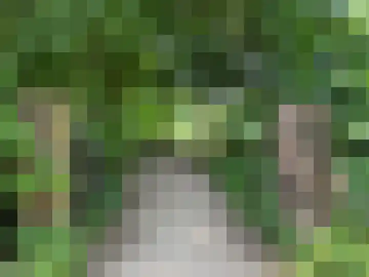 Steenbeekstraat 5 Zetten thumbnail 92