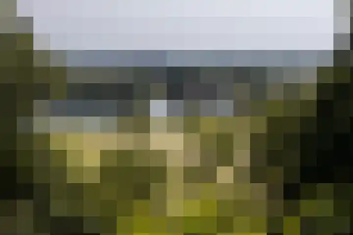 Steenbeekstraat 5 Zetten thumbnail 97