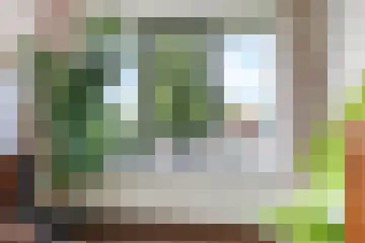 Steenbeekstraat 9 12 Zetten thumbnail 13