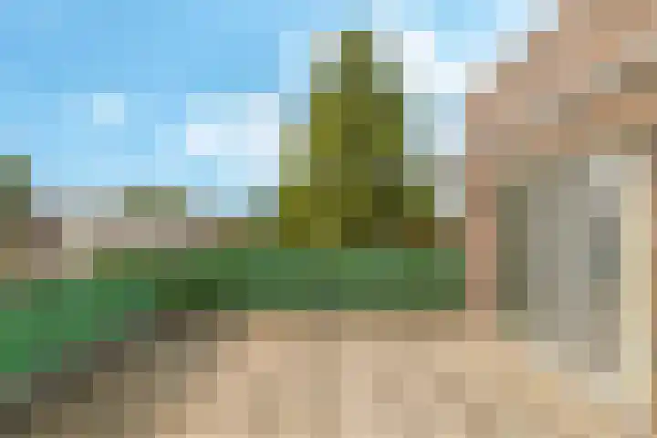 Steenbeekstraat 9 12 Zetten thumbnail 16
