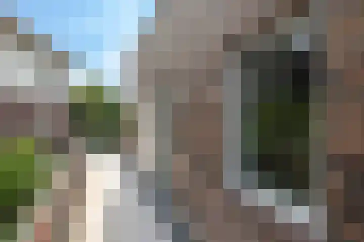 Steenbeekstraat 9 12 Zetten thumbnail 34