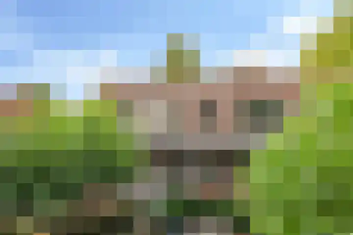 Steenbeekstraat 9 12 Zetten thumbnail 35