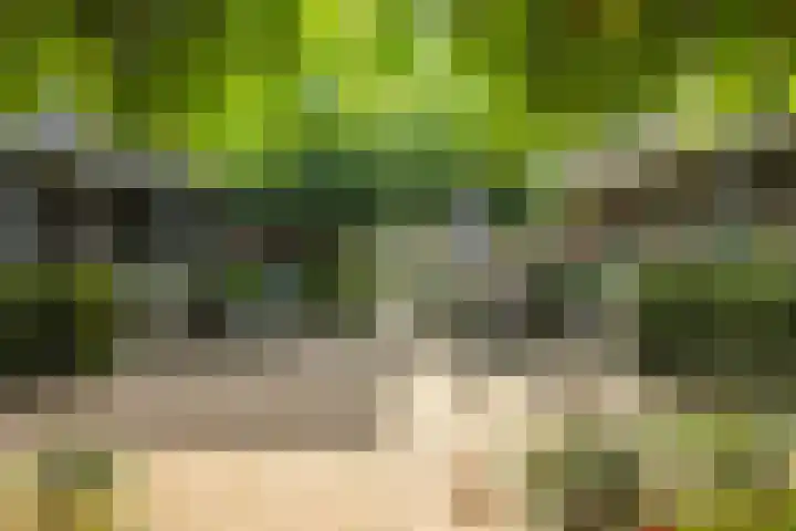 Steenbeekstraat 9 12 Zetten thumbnail 36