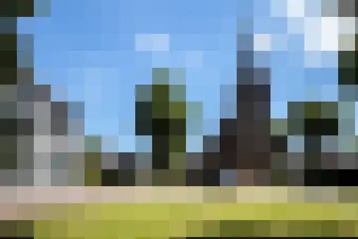 Steenbeekstraat 9 12 Zetten thumbnail 51