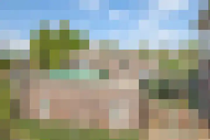 Steenbeekstraat 9 12 Zetten thumbnail 8