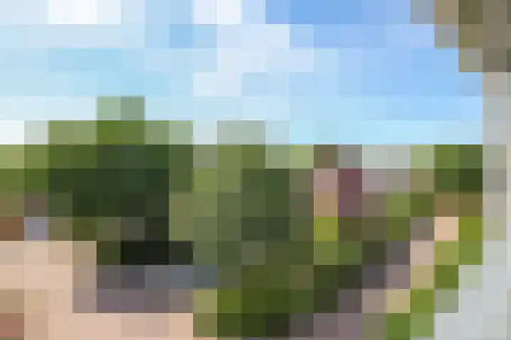 Steenbeekstraat 9 22 Zetten thumbnail 24