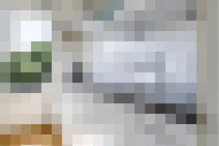 Steenbeekstraat 9 22 Zetten thumbnail 28