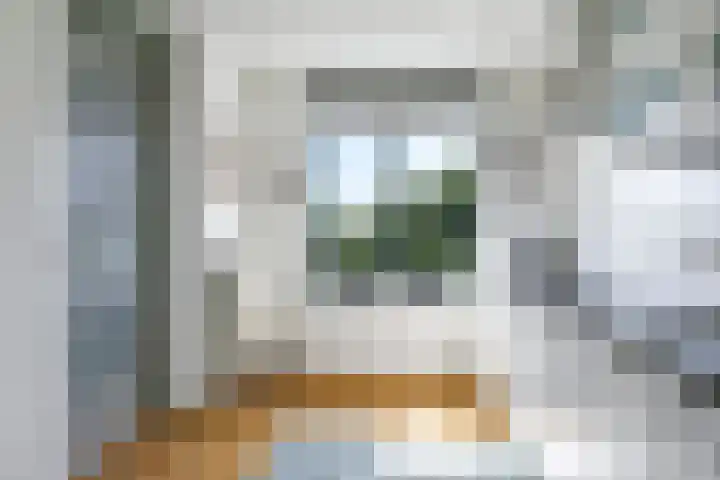 Steenbeekstraat 9 22 Zetten thumbnail 29