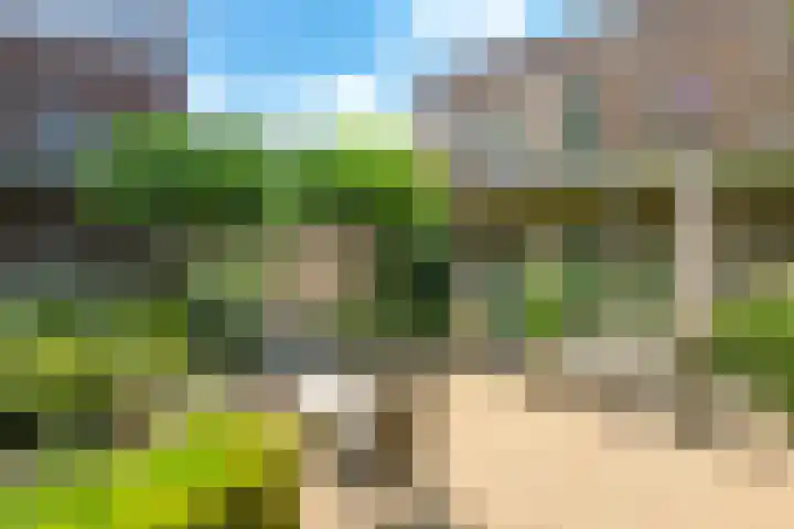 Steenbeekstraat 9 22 Zetten thumbnail 52