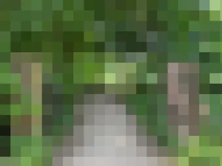 Steenbeekstraat 9 22 Zetten thumbnail 70