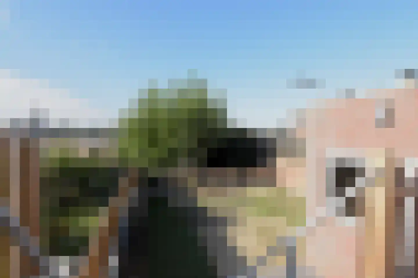 Steenberg 35 Bocholtz thumbnail 27