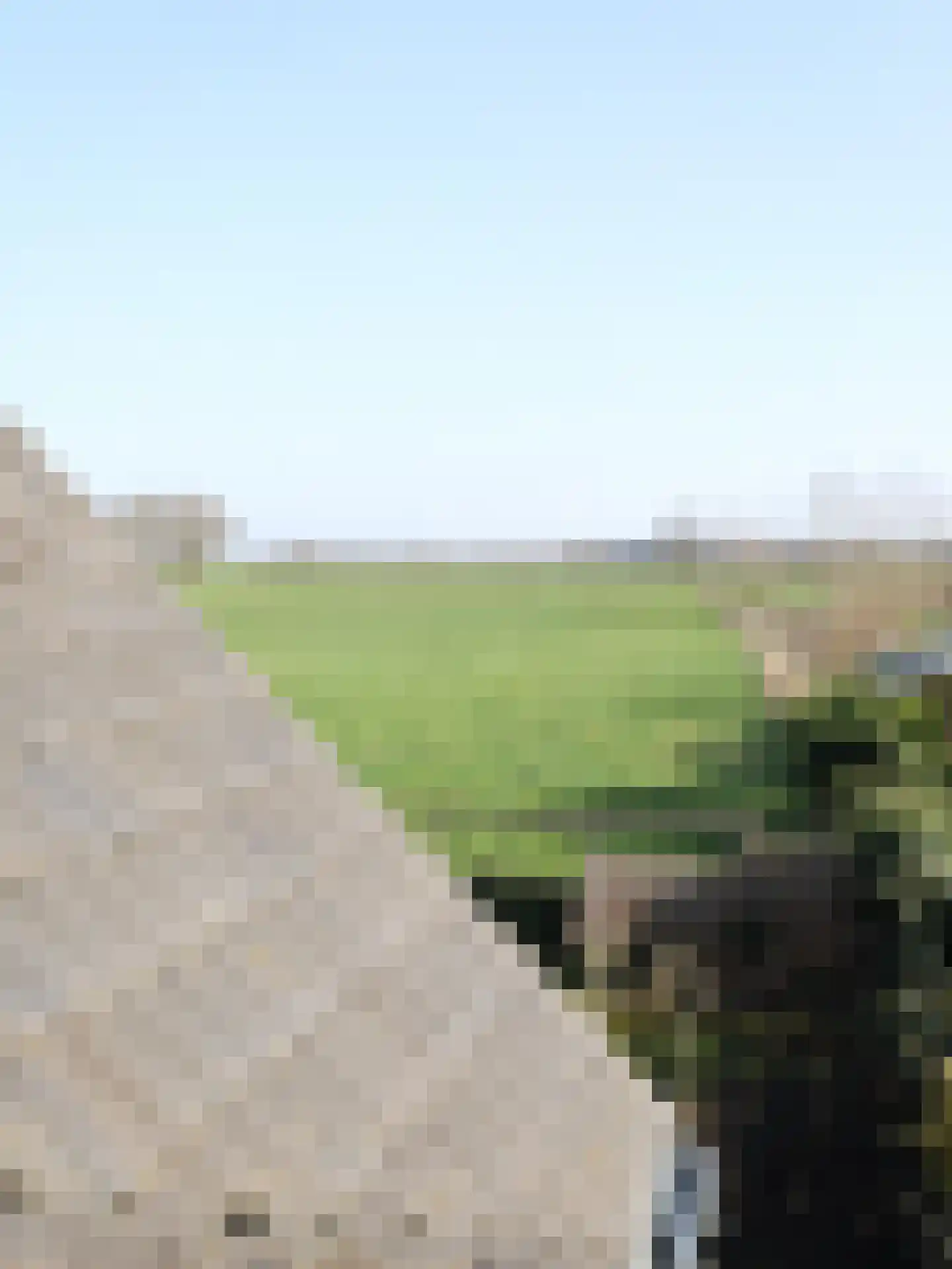 Steenberg 64 Bocholtz thumbnail 17