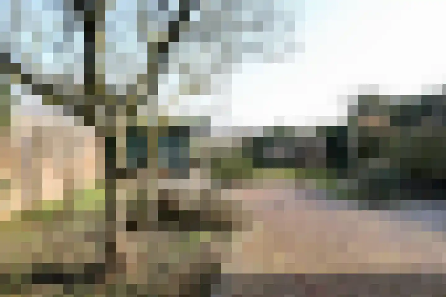 Steenberg 64 Bocholtz thumbnail 20
