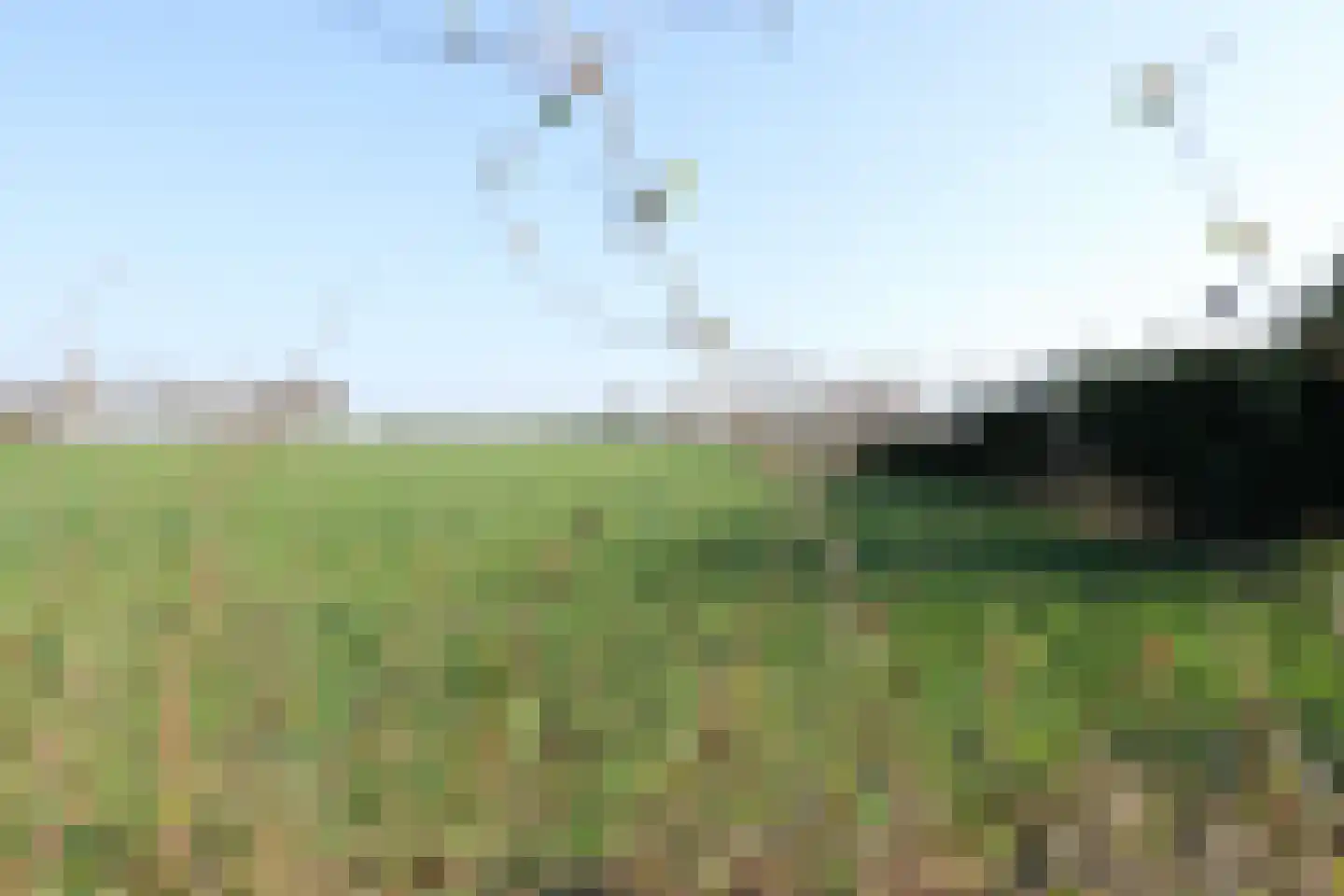 Steenberg 64 Bocholtz thumbnail 21