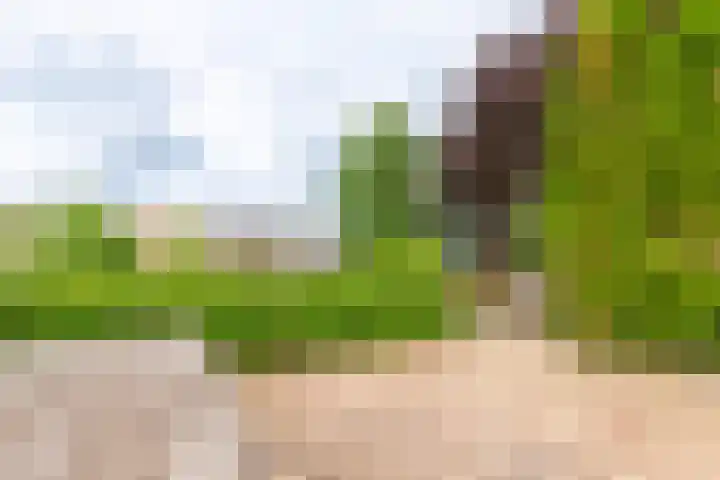 Steenberg 87 Bocholtz thumbnail 16