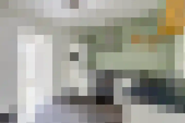 Steenbergen 3 Teteringen thumbnail 13
