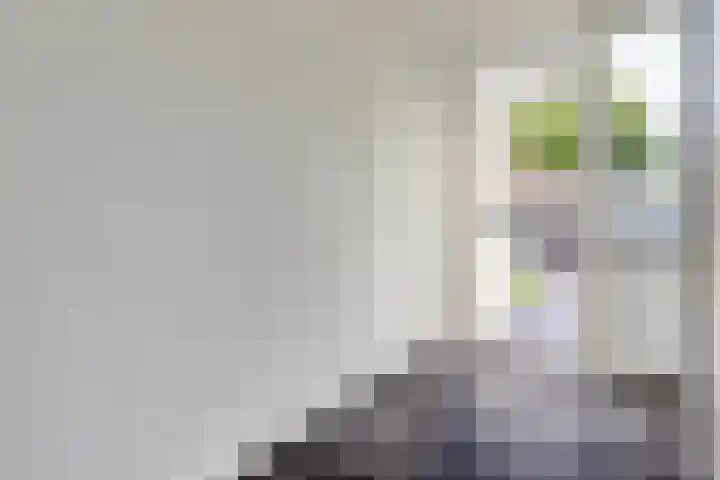 Steenbergen 3 Teteringen thumbnail 17