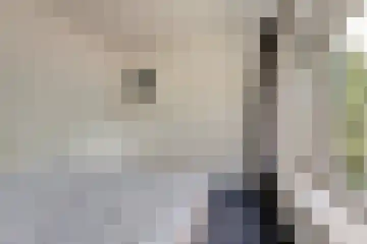 Steenbergen 3 Teteringen thumbnail 19