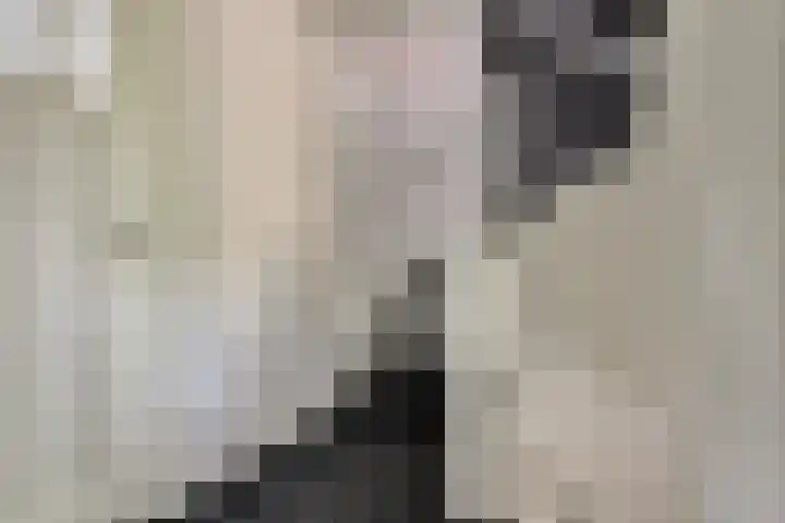 Steenbergen 3 Teteringen thumbnail 24