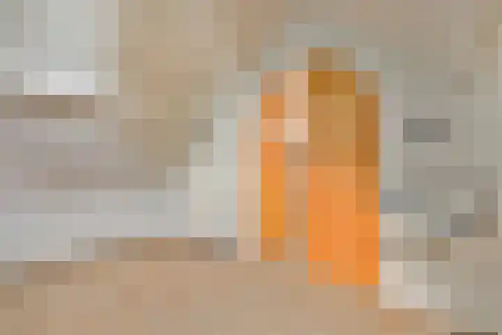 Steenbergen 3 Teteringen thumbnail 26