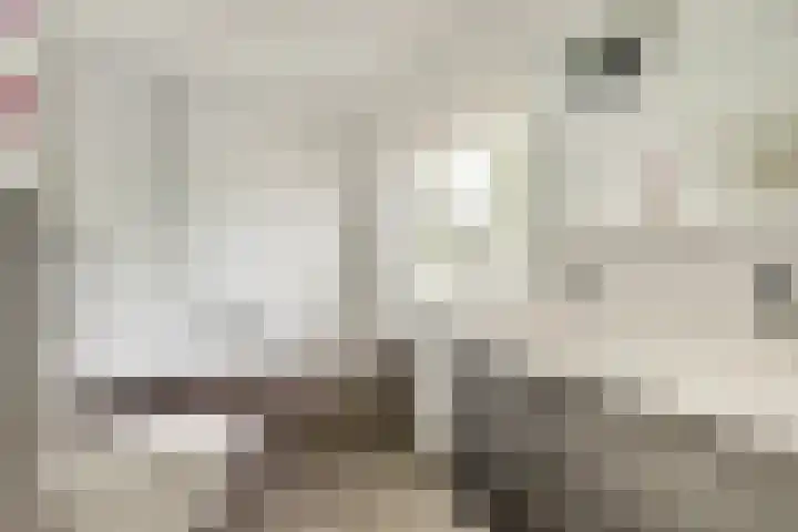 Steenbergen 3 Teteringen thumbnail 30
