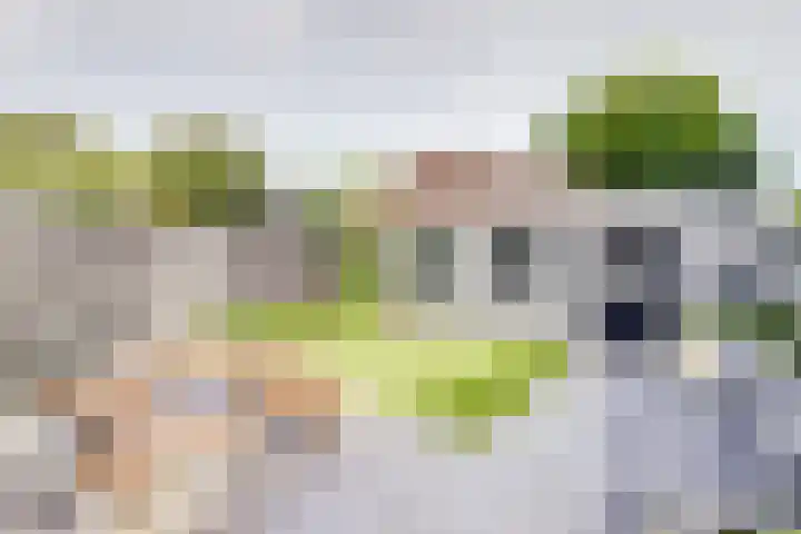 Steenbergen 3 Teteringen thumbnail 32