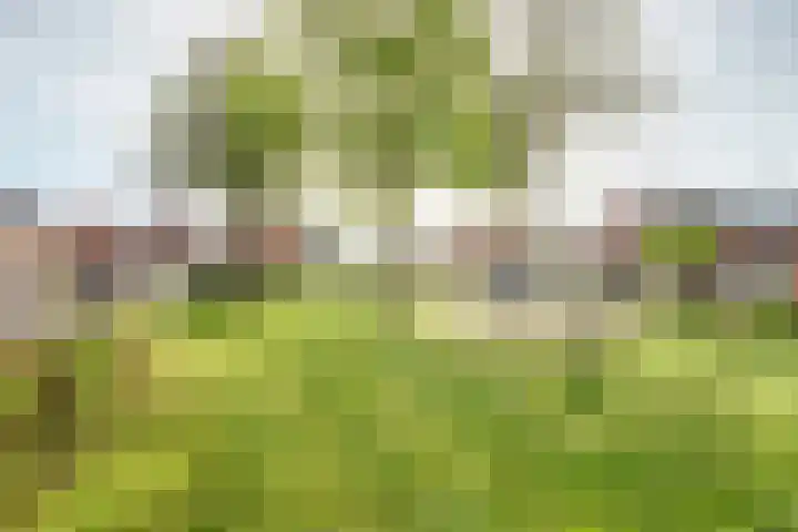 Steenbergen 3 Teteringen thumbnail 38