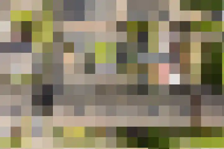 Steenbergen 3 Teteringen thumbnail 41
