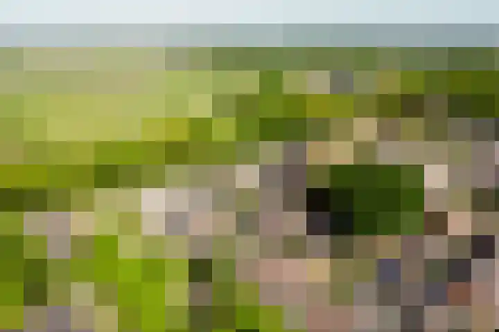 Steenbergen 3 Teteringen thumbnail 43