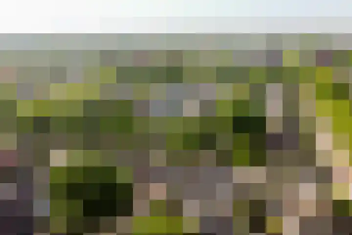 Steenbergen 3 Teteringen thumbnail 44