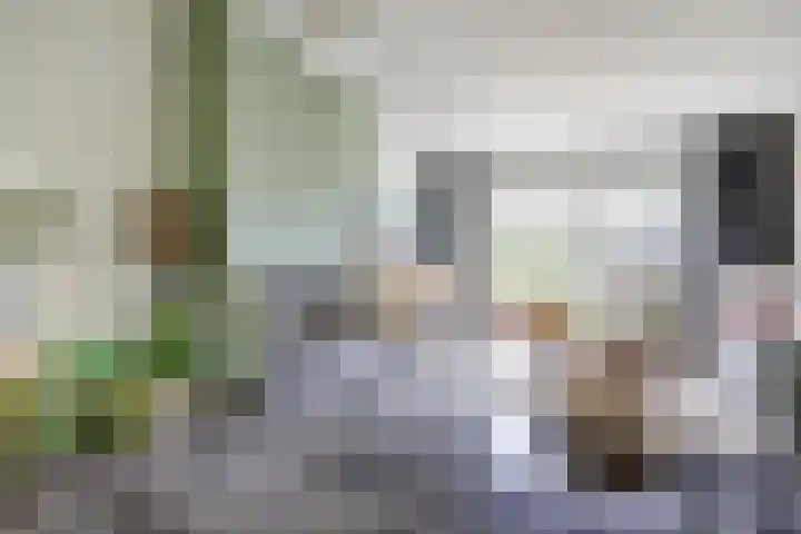 Steenbergen 3 Teteringen thumbnail 8