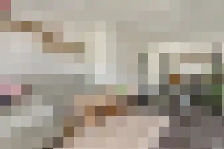 Steenbergen 3 Teteringen thumbnail 9