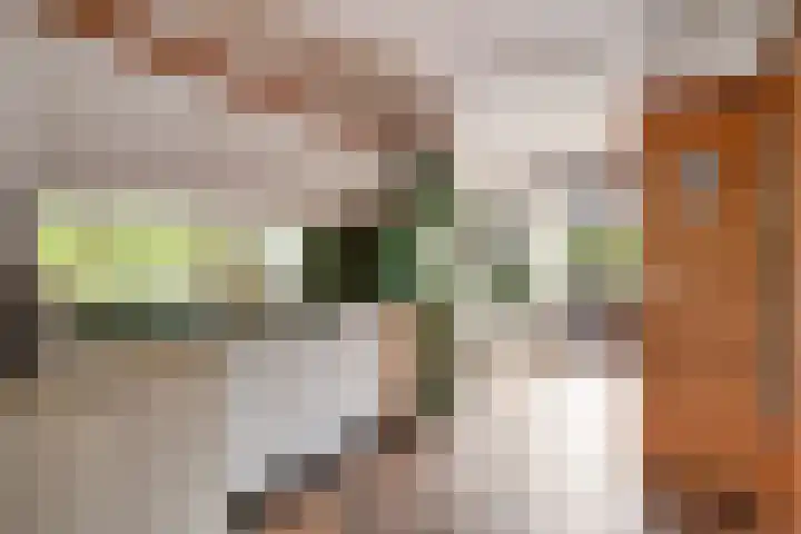 Steenbergen 4 Teteringen thumbnail 13