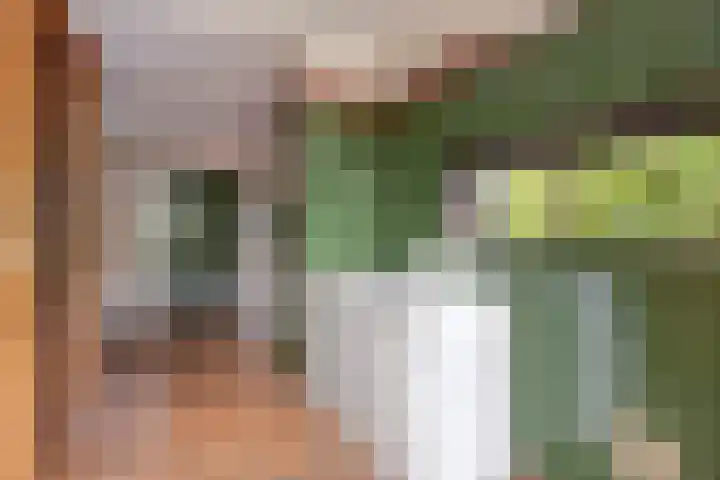 Steenbergen 4 Teteringen thumbnail 16