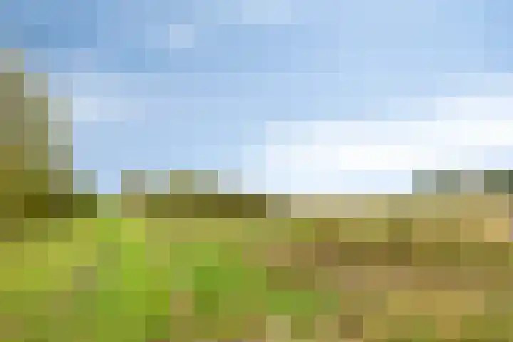 Steenbergen 4 Teteringen thumbnail 25