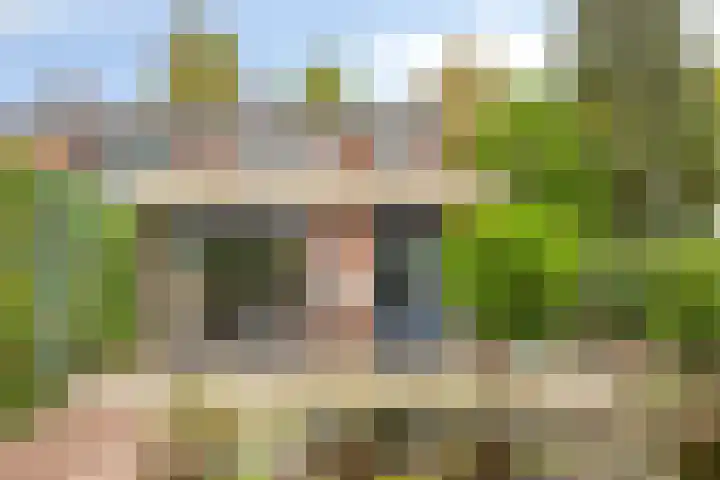Steenbergen 4 Teteringen thumbnail 28