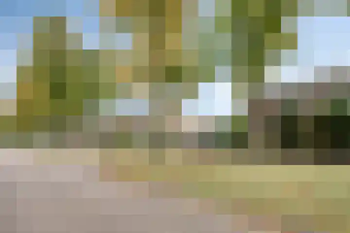 Steenbergen 4 Teteringen thumbnail 30