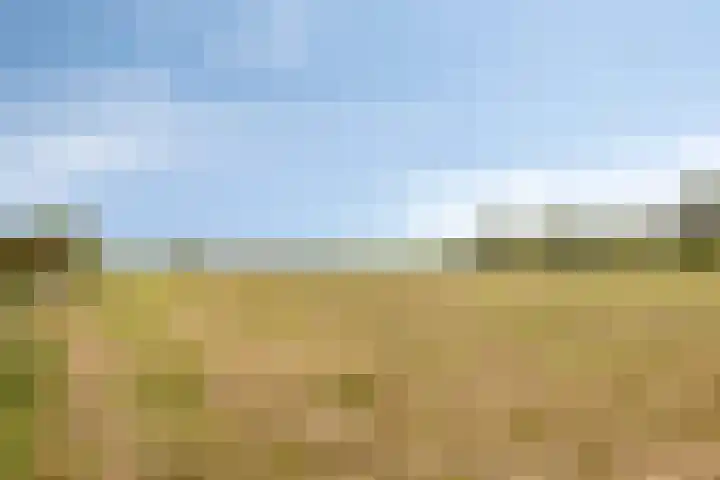 Steenbergen 4 Teteringen thumbnail 4