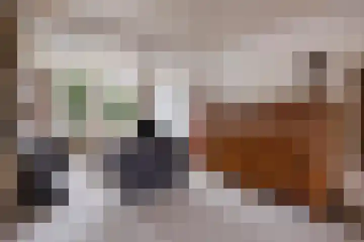 Steenbergen 4 Teteringen thumbnail 8