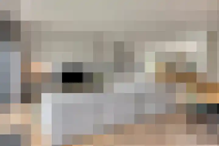 Steenbergenerf 6 Tilburg thumbnail 10