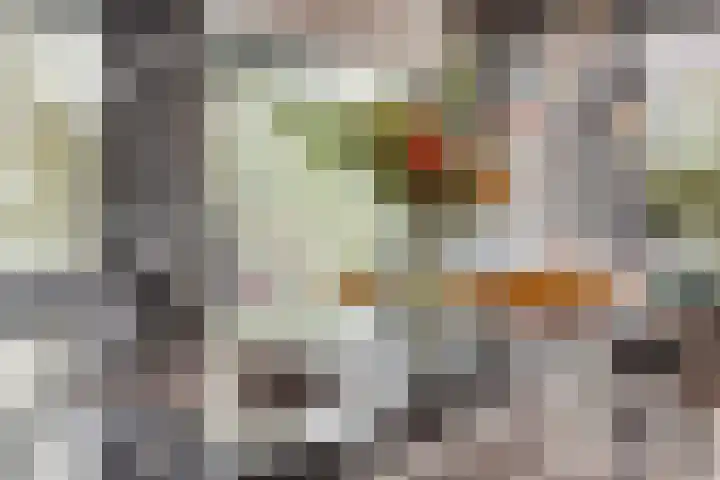Steenbergenerf 6 Tilburg thumbnail 12