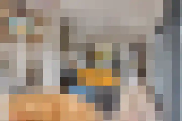 Steenbergenerf 6 Tilburg thumbnail 14