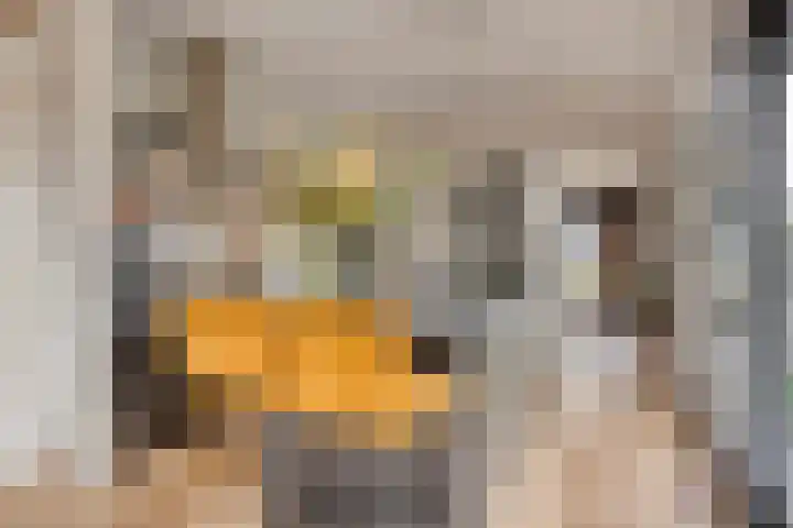Steenbergenerf 6 Tilburg thumbnail 15