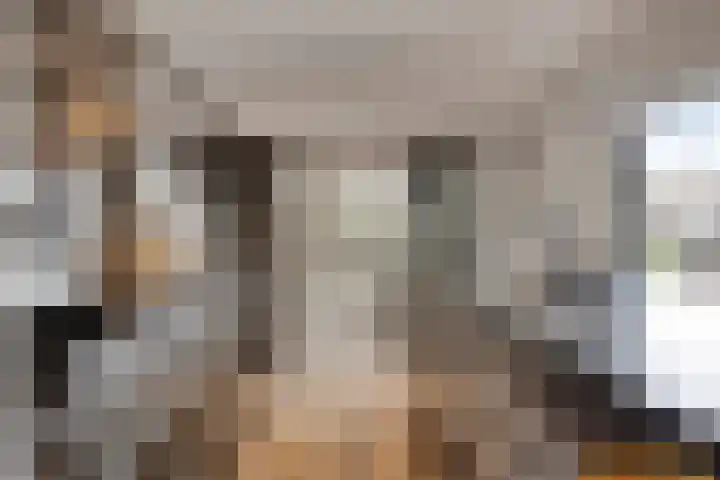Steenbergenerf 6 Tilburg thumbnail 16