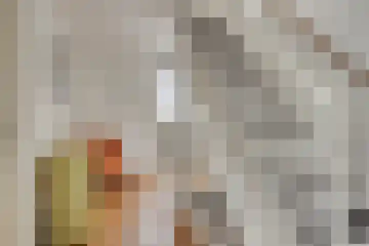 Steenbergenerf 6 Tilburg thumbnail 17