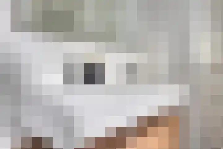 Steenbergenerf 6 Tilburg thumbnail 22